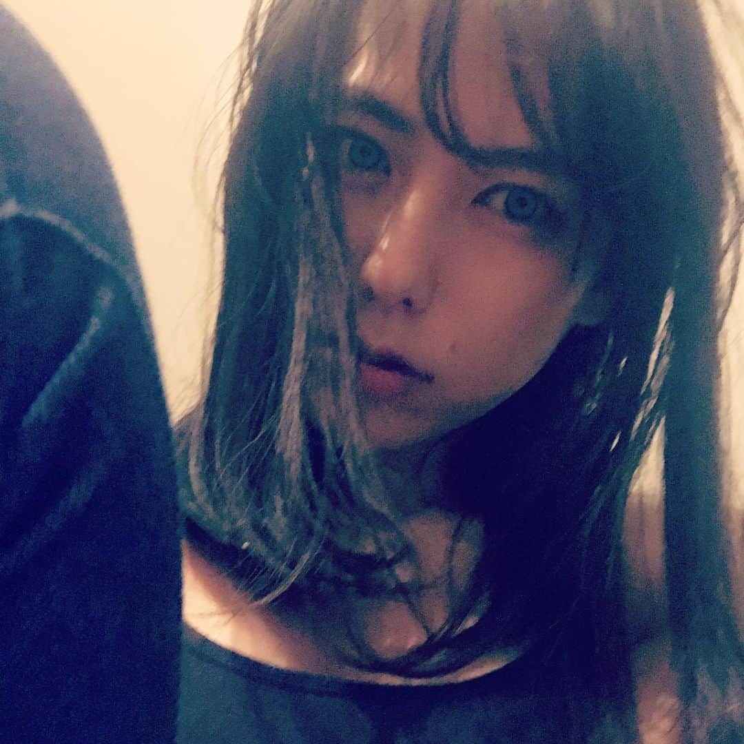 のインスタグラム：「朝だけかと思ったのに、結局雨でしたー☂️濡れましたー🙀おやすみー #傘ちっちぇえ #さくらさん濡れた靴にスリスリしないで」