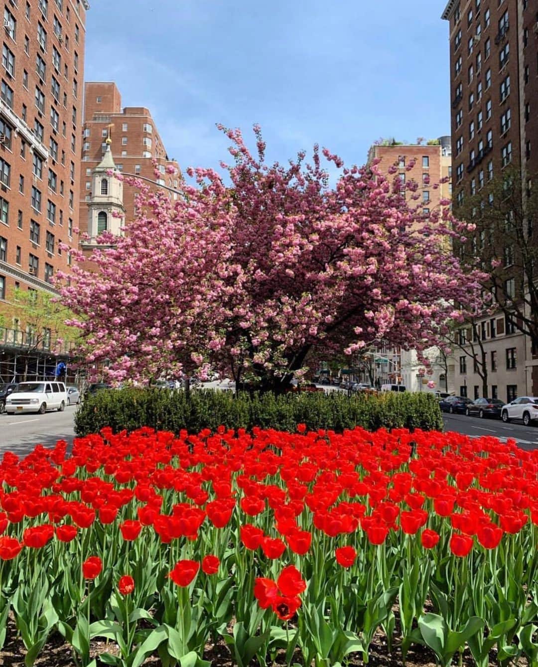 ELLE DECORさんのインスタグラム写真 - (ELLE DECORInstagram)「New York in full bloom. 🌺 #regram 📸: ED Editor in Chief @whowhatwhit」5月22日 0時06分 - elledecor