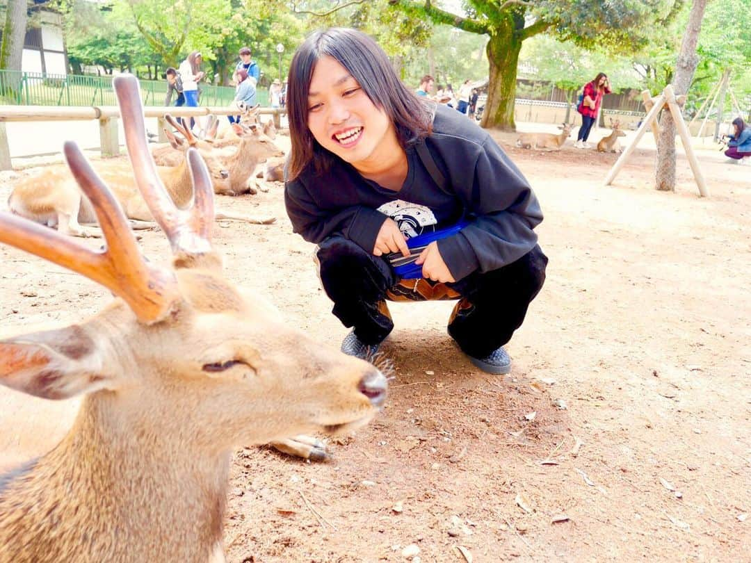 トミーさんのインスタグラム写真 - (トミーInstagram)「奈良でシカを見つけました！  #富永 #奈良」5月22日 1時00分 - tommymizutamaribond