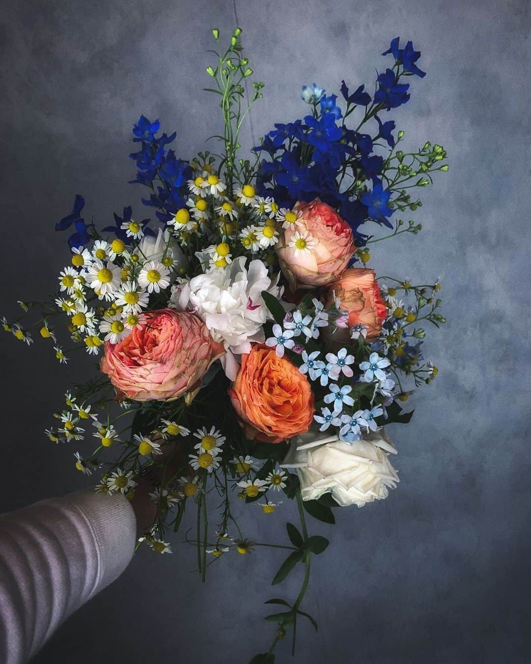 柳澤麻衣さんのインスタグラム写真 - (柳澤麻衣Instagram)「My favorite blue Delphinium💙🙊 . 庭の白いバラと芍薬が満開でしたが、今日の風と雨でほとんど散ってしまいました。残念☔️」5月22日 1時21分 - toile_blanche