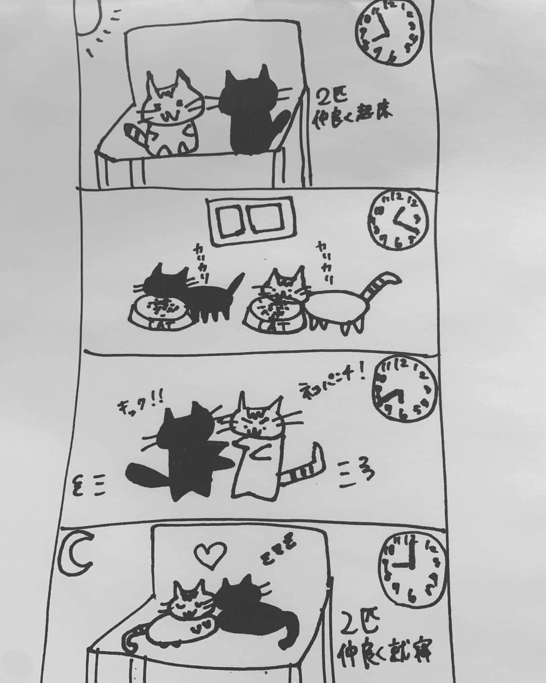 能條愛未さんのインスタグラム写真 - (能條愛未Instagram)「「カブとネギの日常」  4コマ漫画風  #ふと夜に書いてみた #これはこれは #さすがの画力 #書いてみてわかった #カブの表情なにもわからない」5月22日 1時22分 - noujoami_official