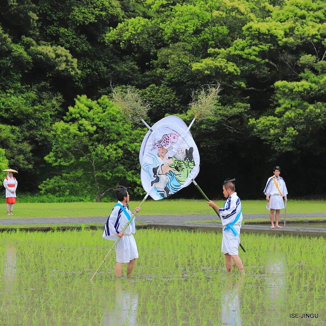 伊勢神宮さんのインスタグラム写真 - (伊勢神宮Instagram)「#伊勢神宮 #神宮 #神社 #心のふるさと #神宮神田 #神田御田植初 #田植え #御料地 #神饌 #稲 #ISEJINGU #JINGU #SOUL_of_JAPAN #Japan #Jinja #Shinto #Jingu_shinden #Sacred_food #Rice」5月22日 11時00分 - isejingu.official