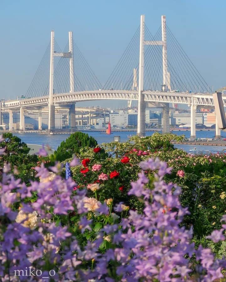 東京カメラ部 横浜分室さんのインスタグラム写真 - (東京カメラ部 横浜分室Instagram)「Photo by @i_am_miko_o⠀ 「みなとエリア 港の見える丘公園のローズガーデン」⠀ https://www.instagram.com/p/BxtAPwEl9vw/⠀ .⠀ いいね！＆コメント大歓迎！⠀ ※投稿に関するご注意・ポリシーは東京カメラ部に準じます。詳しくは下記をご覧ください。⠀ http://app.minpos.com/fb/willvii/camera_jpn/static/guideline⠀ .⠀ #みなとみらい線フォト散歩 #みなとみらい線フォトさんぽ #みなとみらい線 #横浜 #新高島 #みなとみらい #馬車道 #日本大通り #元町中華街 #yokohama #東京カメラ部 #Japan #photo #写真 #日本⠀ Follow: @TCC.Yokohama」5月22日 11時00分 - tcc.yokohama