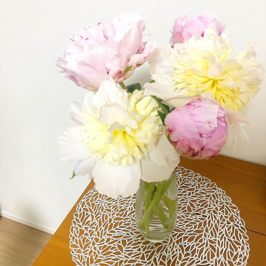 阿部優貴子のインスタグラム：「芍薬💐😆シャクヤク❣️ 初夏のこの時期の一番好きな花🥰✌️ 立てば芍薬座れば牡丹… そんな女性になりたいものです。🌱 水曜は唯一授業とってないのでバラダンまで家事を済ませて、学校の課題に取り組みます👩🏻‍💻🙌 *  #芍薬 #シャクヤク #peony #花のある暮らし」