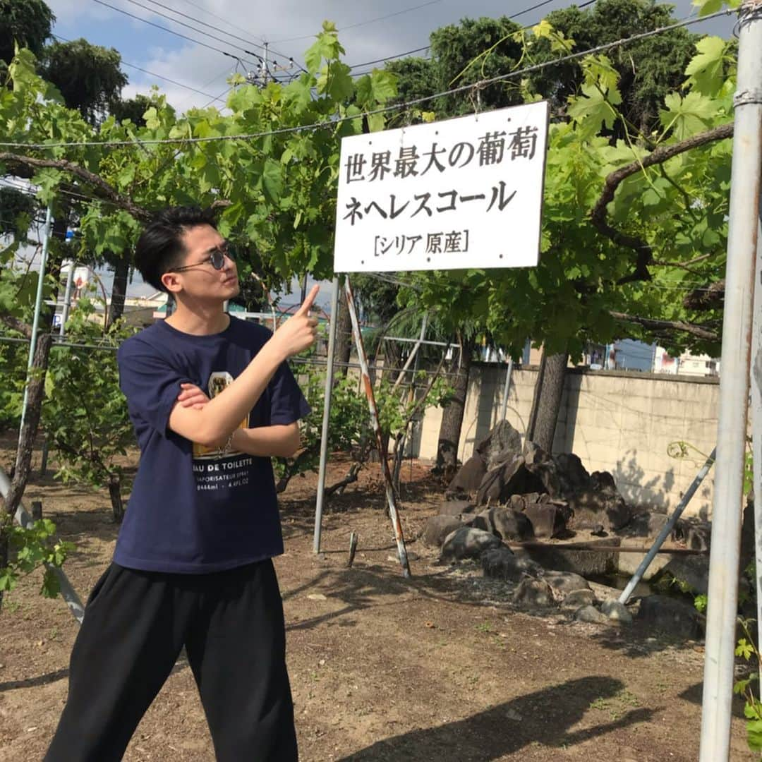 ダイキさんのインスタグラム写真 - (ダイキInstagram)「山梨ワイナリー見学🍷 日本ワイン始まりの地。 #山梨観光 #山梨ワイン #山梨ワイナリー #SADOYA #マルスワイン #グレイスワイン #カッコつけてるけど #もちろんテイスティングし過ぎて #酔っ払い」5月22日 11時53分 - daiki_sugiura0619