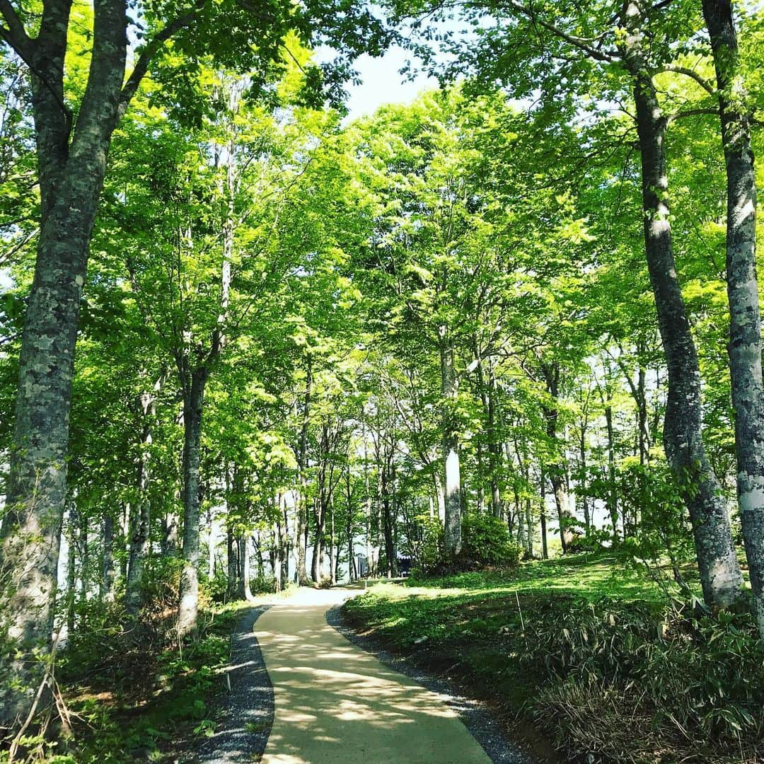 白馬岩岳スノーフィールドさんのインスタグラム写真 - (白馬岩岳スノーフィールドInstagram)「こんにちは♪ 雨が降った次の日は葉が潤い一段と緑が色鮮やかになります🌳 今日は山もはっきりとご覧いただける素晴らしい景色です✨ ねずこの森の中に入るとセミの鳴く声が聞こえ出しました♪♪♪ 天気も良く気持ちのいい風が吹く白馬岩岳で非日常空間をゆっくりとおすごしください♪  #白馬岩岳マウンテンリゾート  #白馬岩岳マウンテンハーバー  #白馬岩岳mtbパーク  #新緑 #初夏 #非日常空間」5月22日 12時10分 - hakuba_iwatake