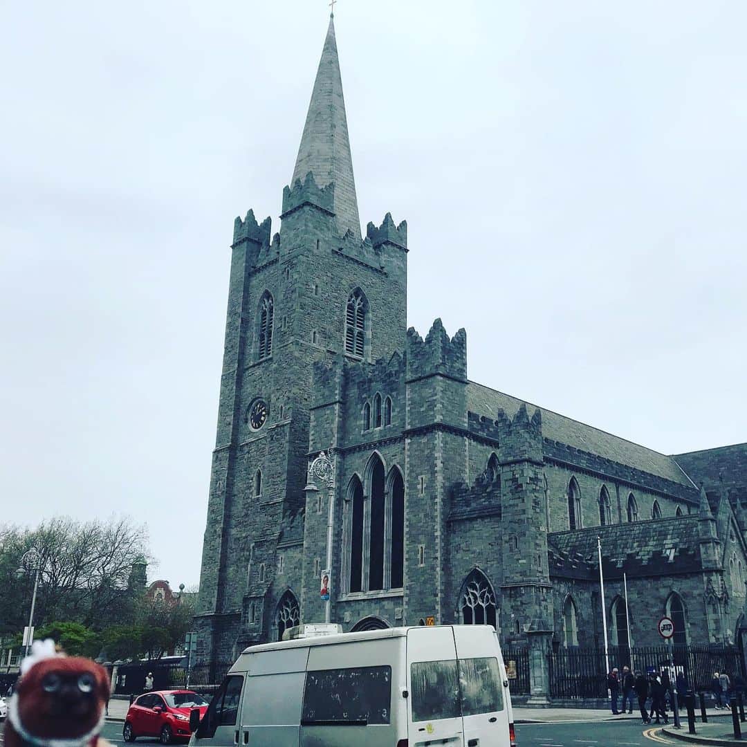 ころさんのインスタグラム写真 - (ころInstagram)「ころツーリスト in アイルランド(ダブリン)  アイルランドの首都ダブリンにある教会。  1191年に建てられたアイルランド最大の教会、聖パトリック大聖堂！  存在感たるや！  鎌倉幕府が起こる1年前にこんな立派な建物を建てられた何て凄すぎる！  ころの他の写真を見たい方はこちらから！  @koro.dottokoi .  #犬 #ころ #アイルランド #教会 #聖パトリック大聖堂 #ダブリン  #dog #koro #ireland #Dublin」5月22日 12時16分 - koro.dottokoi