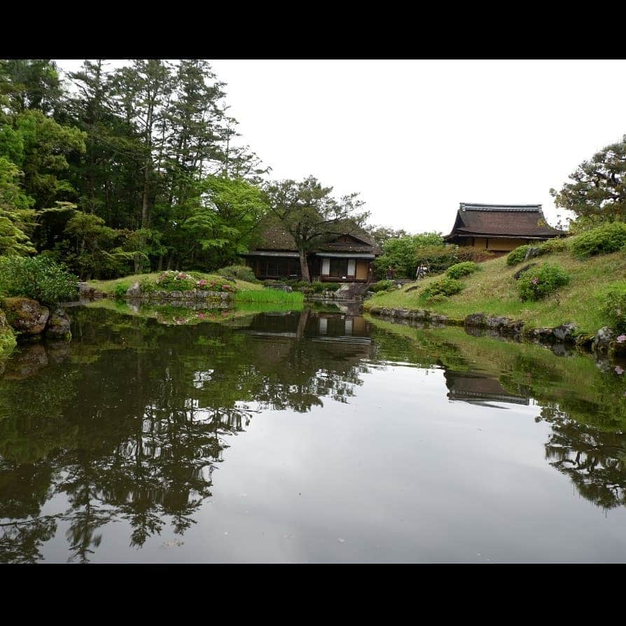 シャルレーヌ・ギニャールさんのインスタグラム写真 - (シャルレーヌ・ギニャールInstagram)「Lovely day in Nara ... 😍 Last photos of our amazing vacation in Japan! We stayed in Japan right after the WTT but I needed time to publish the pictures because we took so many (more than 4000 😅) #lastphotos #vacation #end #love #amazing #incredible #indimenticable #japan #fantastic #montefuji🗻」5月22日 3時37分 - charleneguignard