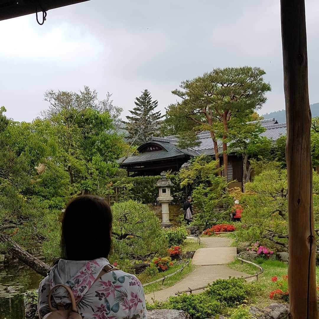 シャルレーヌ・ギニャールさんのインスタグラム写真 - (シャルレーヌ・ギニャールInstagram)「Lovely day in Nara ... 😍 Last photos of our amazing vacation in Japan! We stayed in Japan right after the WTT but I needed time to publish the pictures because we took so many (more than 4000 😅) #lastphotos #vacation #end #love #amazing #incredible #indimenticable #japan #fantastic #montefuji🗻」5月22日 3時37分 - charleneguignard