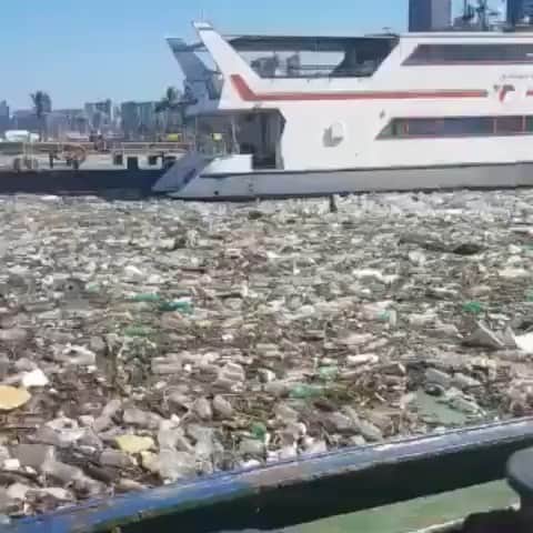 WildLifeのインスタグラム：「@discoversharks together with @save0cean, are giving away stainless steel straws for FREE! Get yours today! LINK IN OUR BIO👆🏼 Tag as many friends as you can below!👇 People should know that this exists and that it is an enormous problem! Remember to recycle ♻️ Video Via @oceangeneration This is how the South African port of Durban looks like ... #pollution #plasticpollution」