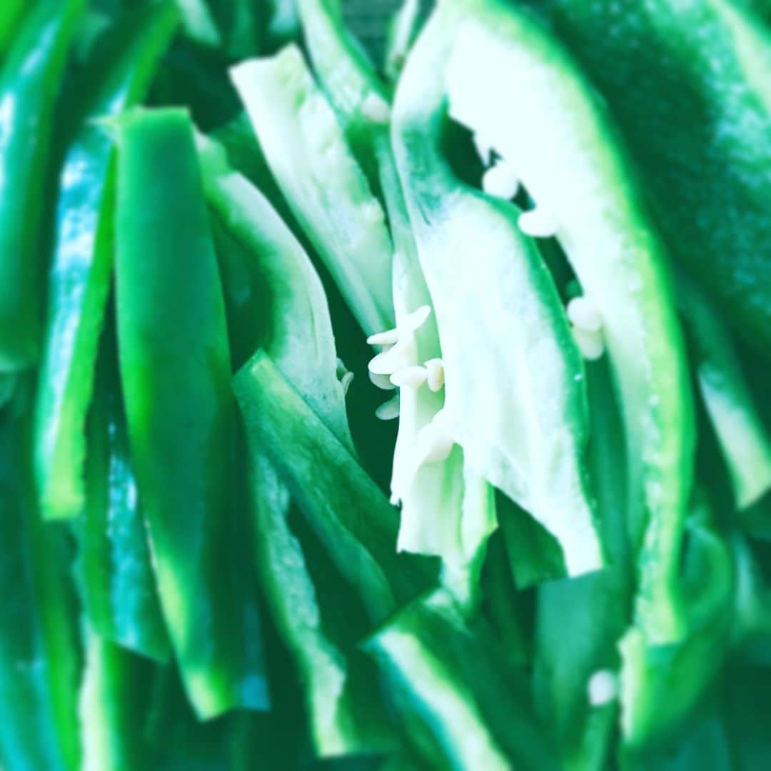 中野敬久さんのインスタグラム写真 - (中野敬久Instagram)「#ピーマン #無限ピーマン #千切り #pepper #green #wednesday」5月22日 5時31分 - hirohisanakano