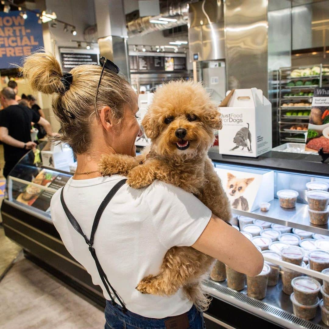 The Dogistさんのインスタグラム写真 - (The DogistInstagram)「Kelsey, Obi-Wan, Chuggy & Bubalah - Dalmatian, Maltese, mix & Maltipoo • @JustFoodForDogs launch event, Union Square, NYC #ad • Thanks to everyone who came out to the event! Here are a few of the pups that stopped by the new Just Food For Dogs kitchen. And don't worry if you didn't make it to the event – Just Food For Dogs is offering 20% off all products for new customers who mention The Dogist at the JFFD Union Square Kitchen in NYC!」5月22日 5時45分 - thedogist