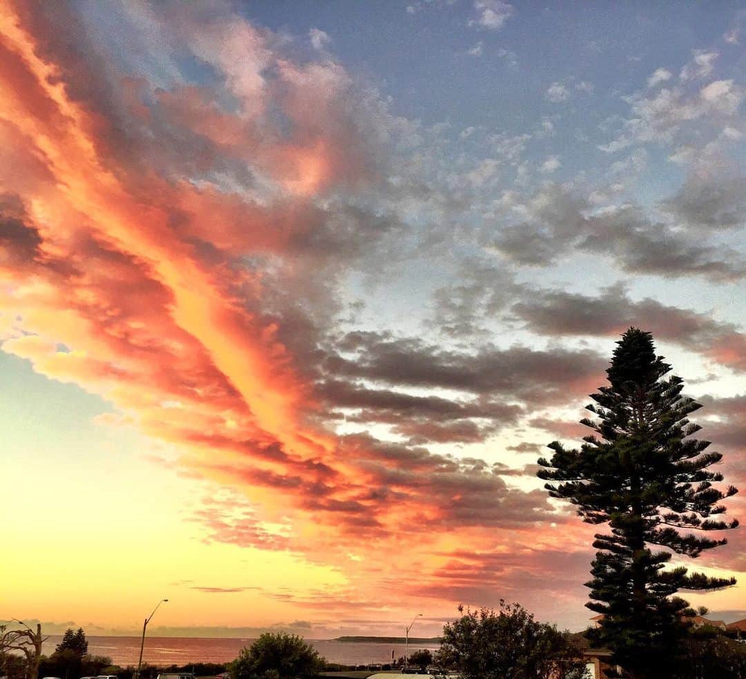 シャーニ・ヴィンソンさんのインスタグラム写真 - (シャーニ・ヴィンソンInstagram)「Good morning 🌅 #Australia #sunrise #skyline #oceanlife #mothernature #clouds ⛅️」5月22日 6時05分 - sharnivinson