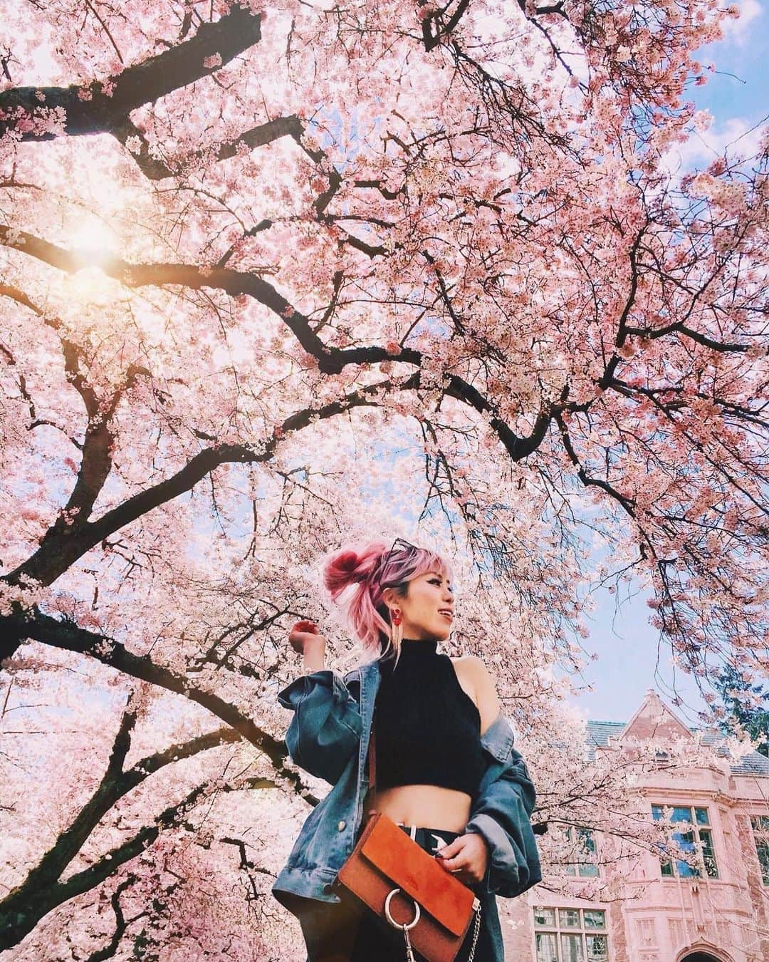 AikA♡ • 愛香 | JP Blogger • ブロガーさんのインスタグラム写真 - (AikA♡ • 愛香 | JP Blogger • ブロガーInstagram)「Giving me all the feels 💗🌸🦋 Currently super gloomy and chilly ☁️ So here is something brighten up your day ✨💕✨ How’s the weather where you live?? ..... #pinkaesthetic #pinkhair #cherryblossom #allthefeels #springtime #uoonyou #seattle」5月22日 6時37分 - aikaslovecloset