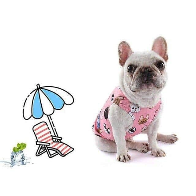 French Bulldogさんのインスタグラム写真 - (French BulldogInstagram)「❄Summer Cooling Vest❄ ➡➡ French Bulldogs will love to chill on the beach, hike, or just enjoy the hot summer day when they can keep cool with the Summer Cooling Vest ☀♨ MUST HAVE THIS SUMMER! ☀♨ ... GET YOURS by CLICKING THE LINK IN OUR BIO 🔝🔝🔝 . . . . . #frenchbulldog #frenchbulldogsofinstagram#frenchiegram #theoandtinytink #frenchieoftheday#frenchies1 #frenchbulldoglove #instafrenchie#frenchbulldoglove #frenchielove_feature #mypetiscutest#dogsofinstagram #frenchies #bestwoof #dogsofinstagram  #atx #texasfrenchies #austinfrenchies #frenchievids」5月22日 6時58分 - frenchie.world