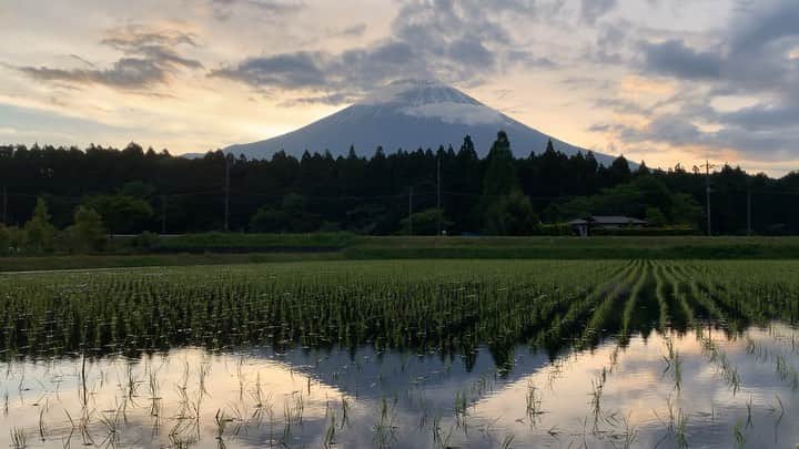 phantastic420のインスタグラム：「. 🤩🤩“Shizuoka” prefecture in Japan is a place where you can see the most “phantastic” Mt. Fuji🗻 in the world.🤩 #富士山 #mtfuji #japan #shizuoka #fujinomiya  #phantastic420photography #mostphantasticmtfuji #selamatpagi  #goodmorning  #おはようございます 😇😇😇😇😇😇😇🗻😇😇 まさかの今朝も見えません🤣夜は星も🗻も見えてたんですけどねぇ〜😅」
