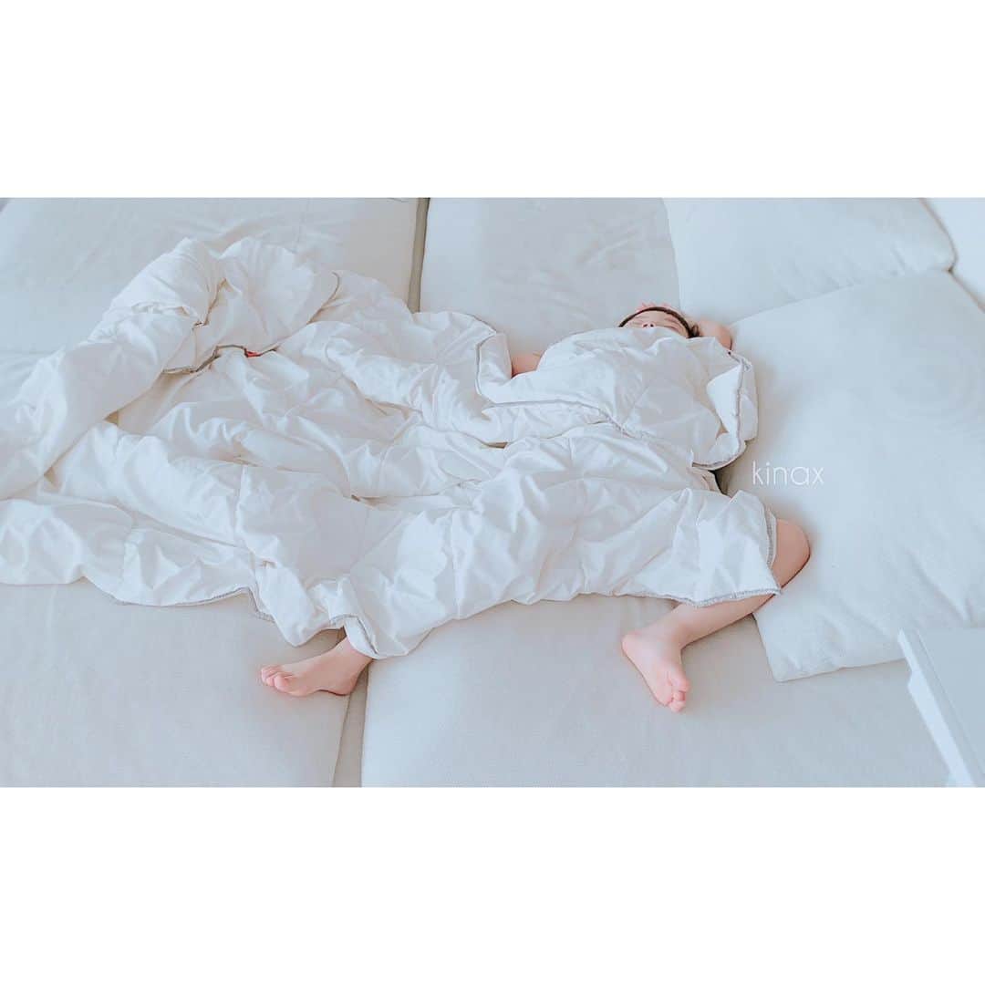 kinaxのインスタグラム：「. good morning(๑′ᴗ‵๑)☀in Japan, and good afternoon, good evening, good night for world friends! . 今日は一転していいお天気！ 昨日の雨は1日すごかったねぇ☔️ みんな大丈夫だったかな？ . . 久しぶりに明け方に起きたむちこさんと リビングに移動して ようやくまた寝た図。笑 . . 話はちょっと変わって この前、メダカの水槽に水草を増やしたんだけど ゆうべなんか少し水が濁ってるような… と気づいたけどそのまま寝たら 今朝水槽からエビが1匹飛び出していたよ😢 . すぐ綺麗な水に入れてあげて なんとか復活してくれたんだけど 水質が悪くなって苦しかったのかも… . 2匹いたエビちゃんの1匹は間に合わなかったよ。 . . 水草を入れてからもう4日目だけど 取り出してみたら少しどろっとしたところと 変な匂いがしたから 悪くなってた？のかな… . 昨夜の段階で何か対処してあげればよかったな ごめんね… . . 話はまたちょっと変わって 昨日 #ミロコマチコ さんの #オレときいろ を読み聞かせていたら タガメみたいなポーズのイラストがツボった子供達が ずっと大はしゃぎでしたʕ •́؈•̀ ₎笑 . 猫愛が伝わってくるから #てつぞうはね も好きなんだけど 泣けるからつらい…ʕ •́؈•̀ ₎ . もともと動物系には弱かったけど 年々涙もろさに磨きがかかっていて 子供系のお話もつらいよʕ •́؈•̀ ₎涙 . #魔女の宅急便 のキキが出発する前の お父さんに甘える場面も 子供の頃は冒険の前のワクワク感で観ていたけど 泣けてきてつらいʕ •́؈•̀ ₎涙 . そして思い出してる今もつらい笑 . . みんなも楽しい1日をー♡ . #親バカ部 #寝相 #豪快でかわいい #子供達から泣き虫だと思われている #でも構わず泣く 2019/05/22」