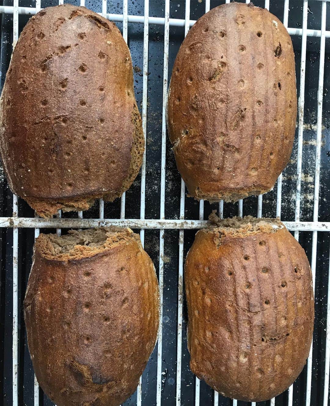 魔女菅原のグルメインスタ