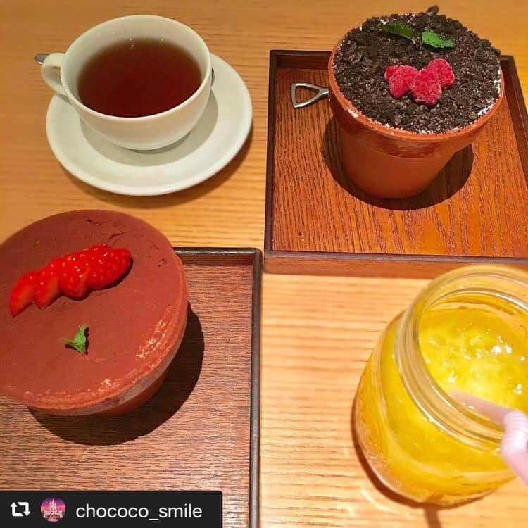 ハレノヒのインスタグラム：「#repost @chococo_smile via @PhotoAroundApp . . #ハレノヒ #ハレノヒカフェ #植木鉢ティラミス #新宿#新宿ルミネエスト @chococo_smile様 ご来店ありがとうございます😊お写真も嬉しいです♪ #ここでしか食べられない#ケーキ#フラワーポット#かわいい#植木鉢#スイーツ#カフェ#ズコット#ティラミス#スコップ#harenohi#cafe#cute#shinjuku#tokyo#lumineest#flowerpot#cake#sweets」