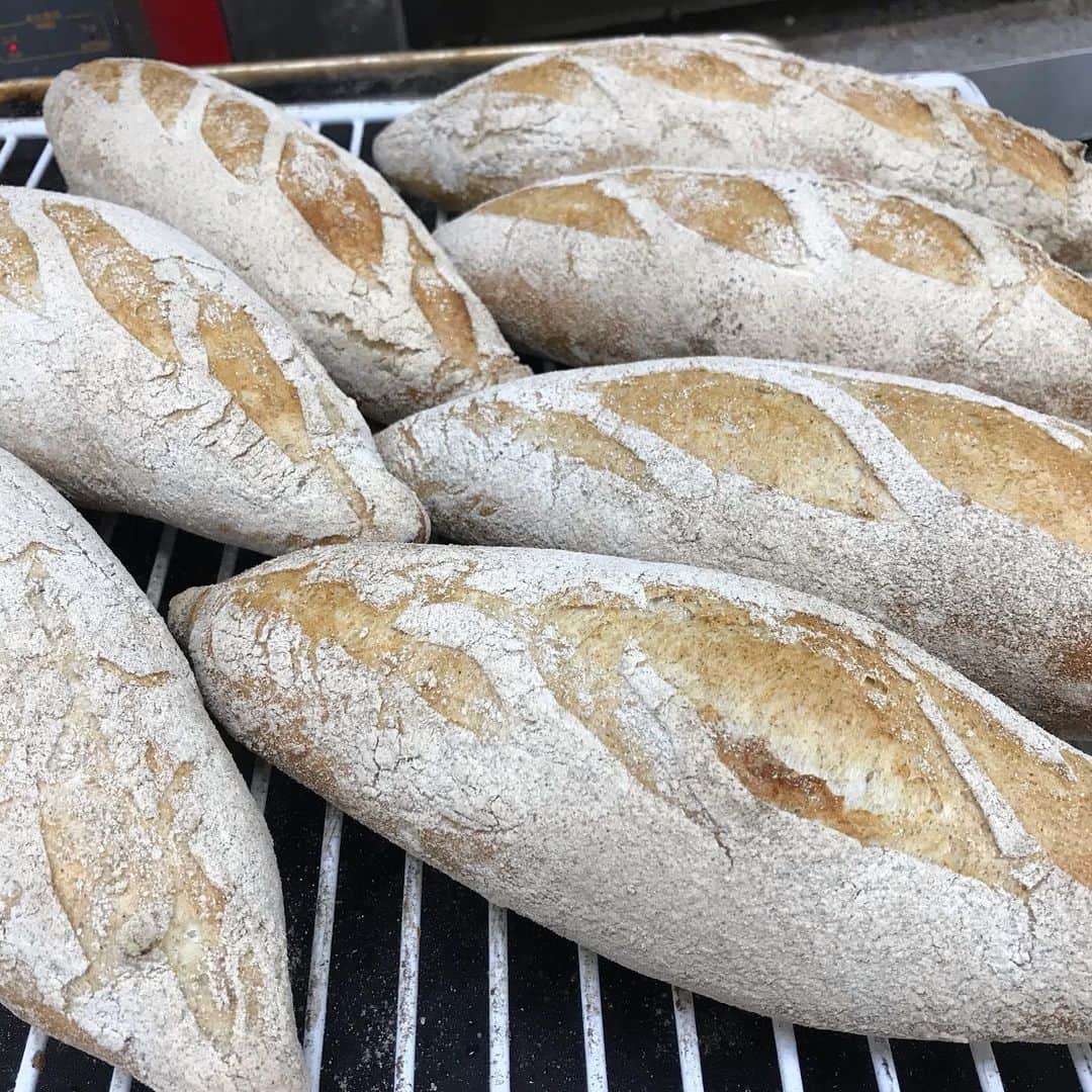 魔女菅原のグルメインスタ