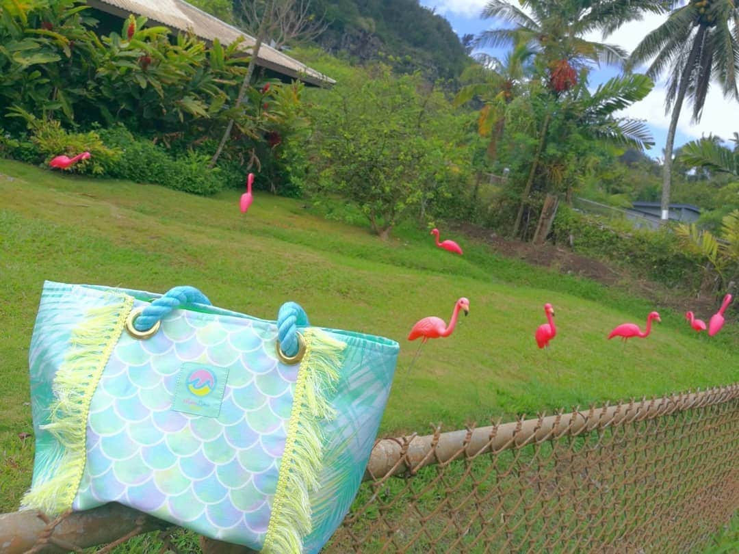 Moco Lima Hawaiiさんのインスタグラム写真 - (Moco Lima HawaiiInstagram)「New* Palm trees Tote Bag, Made By Moco  I took a peek the flamingo party this morning. I wanted to join them!! フラミンゴパーティーを覗き見してきました。楽しそうで仲間に入りたかった！　今朝散歩中にたまたま見つけました〜  #partypeople#flamingo#party#boysandgirls#walking#palmtrees#green#sunshine#morning#niceday#beautiful#handmadebag#madeinhawaii#mocolima#hawaii#pink#art#designer#photography#photoshoot#mermaid#ハワイ好き#ハワイ好きな人と繋がりたい#モコリマハワイ#ハワイ旅行  Showroom Open 13:00-18:00 Today  新作続々登場中！ぜひ遊びにいらしてくださいませ♡  Have a great day !!」5月22日 8時49分 - mocolimahawaii