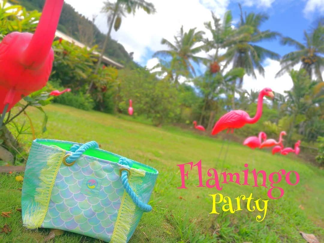 Moco Lima Hawaiiさんのインスタグラム写真 - (Moco Lima HawaiiInstagram)「New* Palm trees Tote Bag, Made By Moco  I took a peek the flamingo party this morning. I wanted to join them!! フラミンゴパーティーを覗き見してきました。楽しそうで仲間に入りたかった！　今朝散歩中にたまたま見つけました〜  #partypeople#flamingo#party#boysandgirls#walking#palmtrees#green#sunshine#morning#niceday#beautiful#handmadebag#madeinhawaii#mocolima#hawaii#pink#art#designer#photography#photoshoot#mermaid#ハワイ好き#ハワイ好きな人と繋がりたい#モコリマハワイ#ハワイ旅行  Showroom Open 13:00-18:00 Today  新作続々登場中！ぜひ遊びにいらしてくださいませ♡  Have a great day !!」5月22日 8時49分 - mocolimahawaii