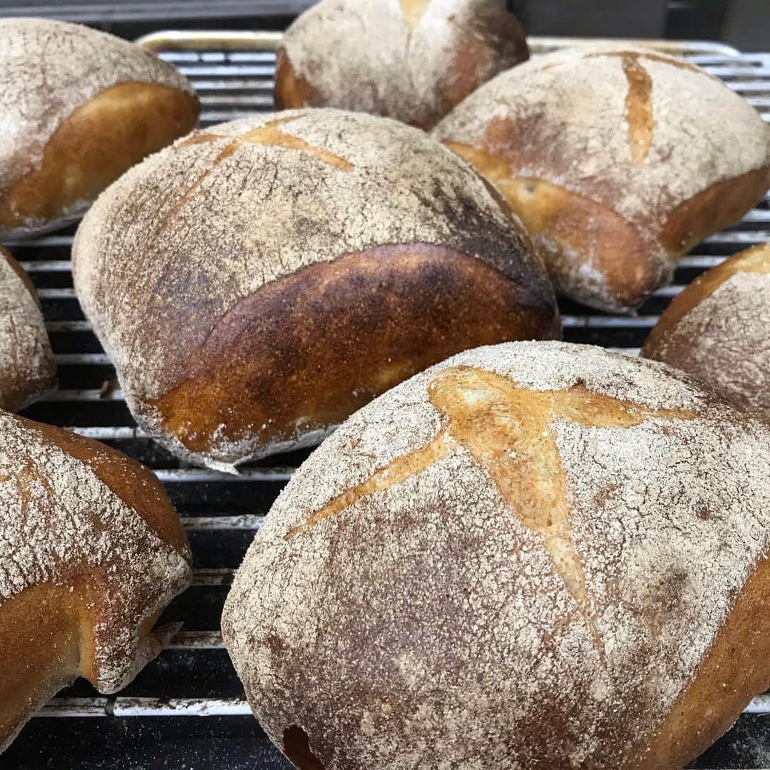 魔女菅原のグルメインスタ