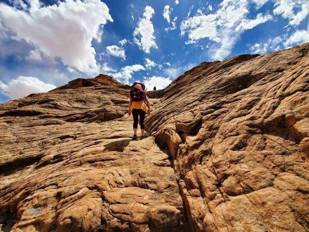 グレゴリーさんのインスタグラム写真 - (グレゴリーInstagram)「“Somewhere between the bottom of the climb and the summit is the answer to the mystery of why we climb.” 📸 creds: @matthexplorer @kathrynjanewilliams & @dj_outdoorphotography #thegreatoutdoors #exploremore #sheexplores」5月22日 9時19分 - gregorypacks