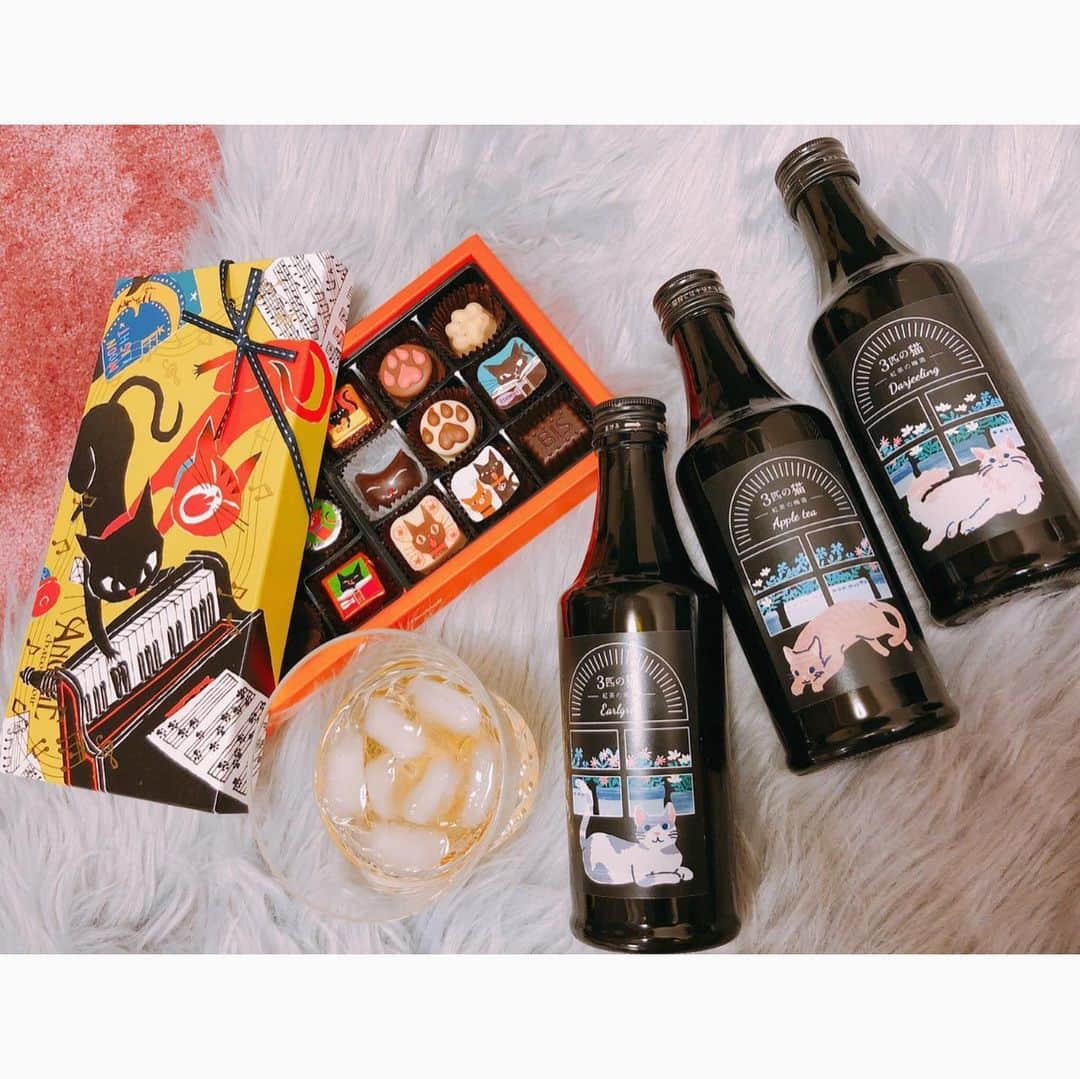 東なつ紀のインスタグラム：「猫のチョコレートと 猫のお酒🥃🐱🐈 #cat #catgoods #猫 #猫グッズ  いつかのいただきもの❤︎」