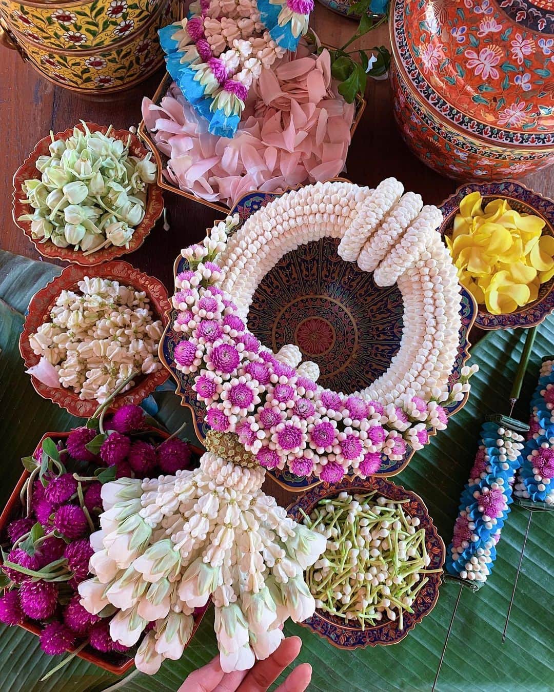 Amata Chittaseneeさんのインスタグラム写真 - (Amata ChittaseneeInstagram)「Thainess x Thai flower garland  โคตรไทย x พวงมาลัย :ทททภาคกลาง #pearypieamazingThailand @Aey_nitch  #พวงมาลัยภาณุมาศ  Phuang Malai/floral garlands, if you have ever been to Thailand, you see floral garlands everywhere! Phuang Malai is a unique symbol of what has been described as “Thainess”-presented as a symbol of welcome, respect and good health to honoured guests, relatives and loved ones-given as a gift or offering. Sometimes people keep their Phuang Malai as a sign of good luck in the hope that it will bring them good fortune. It is one of the most beautiful traditions that we have carried from the past and continue to be an essential and welcome symbol of what it means to be in Thailand, which remains in the hearts of all who have the privileged fortune to experience this unique and ancient culture. มาลัยชายเดียว หมายถึง มาลัยที่มีลักษณะเป็นพวงกลม มีอุบะห้อยเป็นชายเพียงพวงเดียว อาจเรียกว่า พวงมาลัย คือพวงดอกไม้ประดิษฐ์ ที่นำดอกไม้ ใบไม้ เช่น กลีบดอกกุหลาบมอญ ดอกพุด ดอกรัก ดอกมะลิ ดอกบานไม่รู้โรย ดอกเล็บมือนาง หงอนไก่  เฟื่องฟ้า มาร้อย 🌸🌼 นำมาใช้กราบไหว้พระและสิ่งศักดิ์สิทธิ์ ไหว้ บิดามารดา ใช้เพื่อแสดงความยินดีหรือต้อนรับแขก มอบให้บุคคลผู้มีชื่อเสียง เพื่อเป็นการรับขวัญ และตามเทศกาลต่างๆ **บรรพบุรุษของไทยมีชื่อเสียงในงานด้านศิลปะการประดิษฐ์อย่างมากมายโดยเฉพาะการประดิษฐ์ตกแต่งพวงดอกไม้ ใบ้ไม้และผลไม้  ในสมัยสุโขทัย รัชสมัยของพระมหาธรรมราชาที่ 1 ท้าวศรีจุฬาลักษณ์ ผู้ที่มีความสามารถในงานด้านฝีมือในการประดิษฐ์ดอกไม้สดเป็นเลิศ และยังได้เอาผลไม้ มาทําการ แกะสลักตกแต่งประกอบ ในสมัยรัตนโกสินทร์ทุกรัชกาล งานฝีมือ การประดิษฐ์ดอกไม้ เป็นที่นิยมนํามาใช้ในงานต่างโดยเฉพาะงานพิธีต่าง ๆ ในสมัยรัชกาลที่ 5 นิยมการทําดอกไม้เป็นอย่างยิ่ง สมเด็จพระพันปีหลวง ได้ทรงคิดร้อยมาลัยด้วยดอกไม้ต่างๆและใช้ใบไม้แทรกนำทำให้มีลวดลายต่างๆกันอย่างงดงามและพลิกแพลงทำรูปต่างๆกัน การร้อยมาลัย ได้มีการวิวัฒนาการก้าวหน้ากว่าเดิมเป็นต้นมาหลายรูปแบบทำให้เห็นได้ว่า คนไทยมีความประณีตในการใช้ดอกไม้โดยนำมาประดับตกแต่งในพิธีกรรมต่างๆทั้งในด้านศาสนา พิธีกรรมเกี่ยวกับชีวิตและงานรื่นเริง💐 (ขอบคุณความรู้ใหม่จากโลกทางอินเทอร์เน็ตค่ะ)」5月22日 9時34分 - pearypie