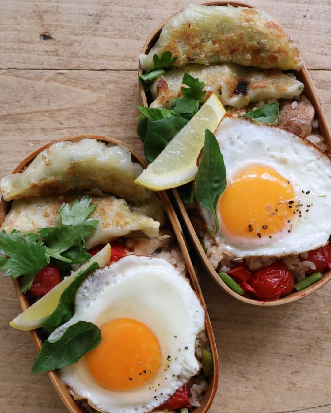 のインスタグラム：「Wed.22 May.2019 はれ 今日の置き弁 ガパオライスにはニンニクの芽、餃子にもニンニクがっつり、バジルだパクチーだにおいプンプンです。 接吻するわけでもないだろうし 原始人のくせにあるものなら事件すよ☆  #雅姫弁#食いしん坊のお弁当ダイアリー」