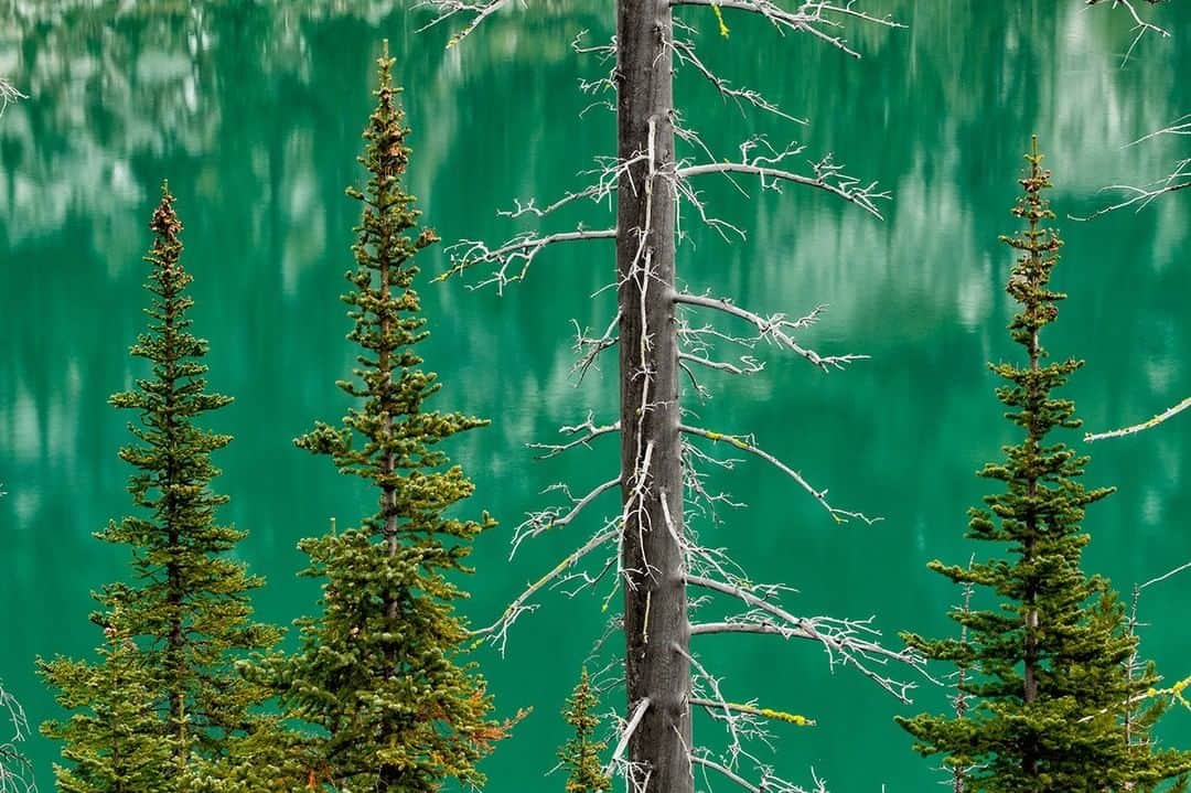 National Geographic Travelさんのインスタグラム写真 - (National Geographic TravelInstagram)「Photo by @stephen_matera | The deep green hue of fir trees is matched by the emerald-colored waters of the glacier-fed sub-alpine lake in the Central Cascade Mountains of Washington. The runoff from a glacier contains minerals, sometimes called rock flour, that are suspended in the lake water and give it that incredible green color. Follow me @stephen_matera for more images like this from Washington and around the world. #glacier #rockflour #lake #wilderness」5月22日 10時01分 - natgeotravel