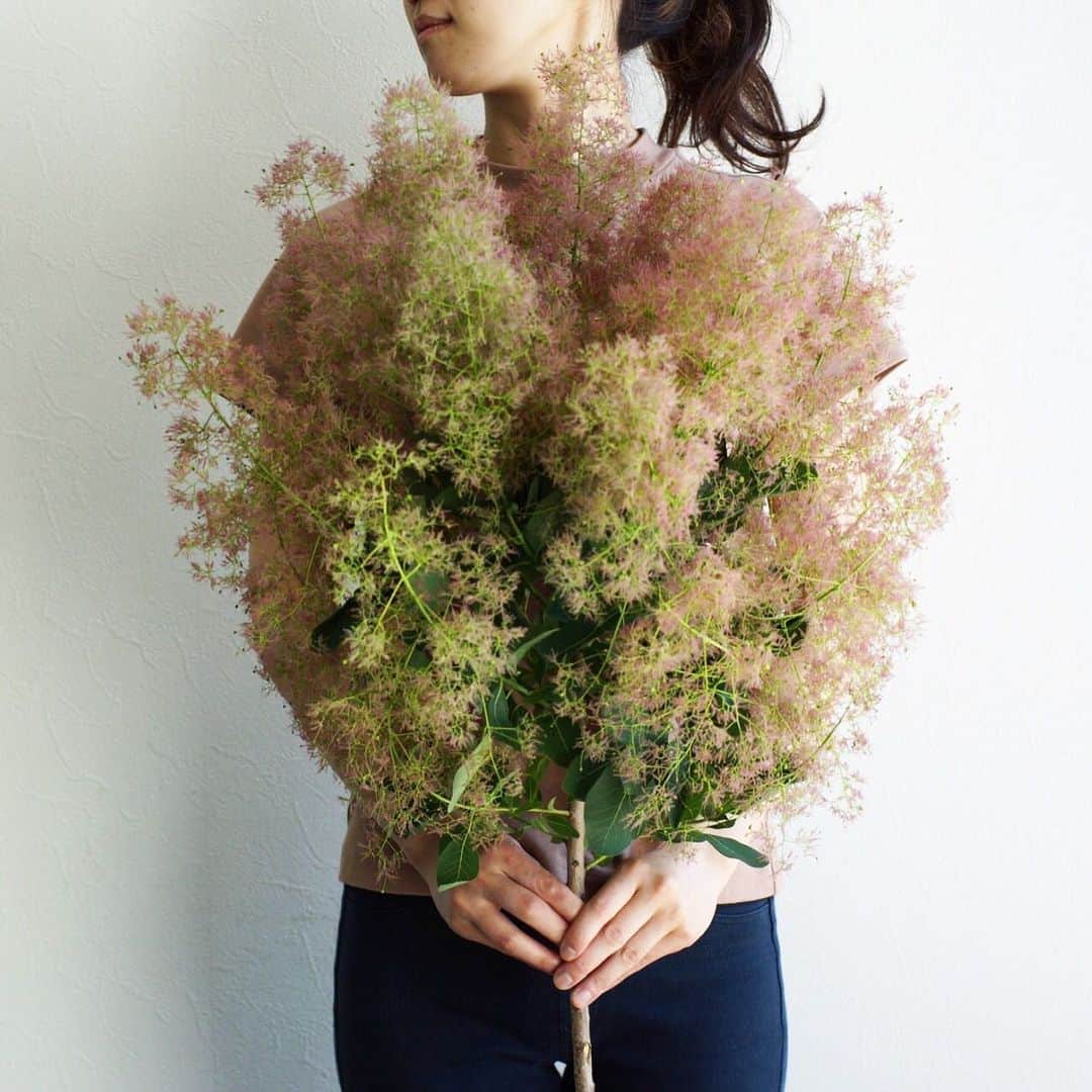 MILLE ECLAT.のグルメインスタ