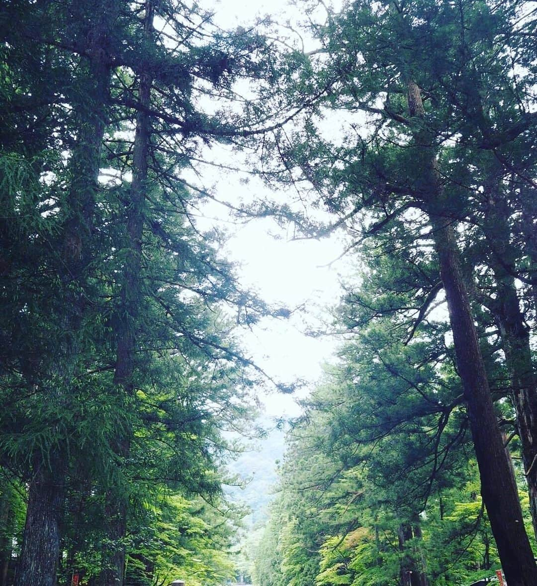 緑友利恵のインスタグラム：「自然はとても美しいね🌸 朝から新鮮な空気を吸って 一日、頑張ります！  #nature #goodmorning #ohayou :) #instagood」