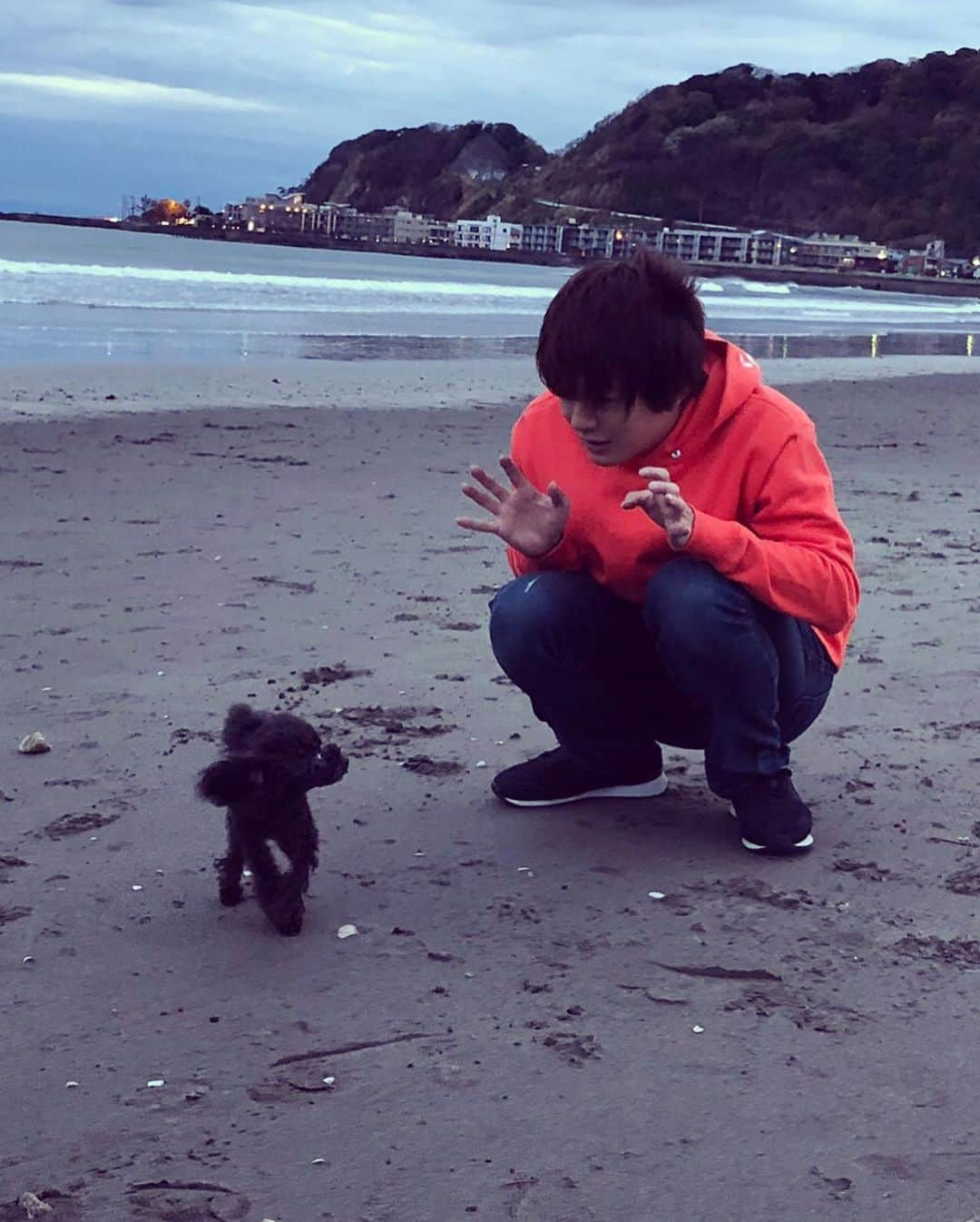 大倉士門さんのインスタグラム写真 - (大倉士門Instagram)「こないだルルと海へ。 暖かくなってきたから また早く行きたいね〜。 最近ルルを見てて思う。 こいつは多分俺がおらな あかんくなるんやろな〜って。 いっつもピトッて引っ付いてきはって。 どこ行くときも寝るときも一緒がええね〜。 恋人やったらもっとええねんけどな〜😰 いや、ルルがええな！😤❤️ これからもずっと一緒。🐶」5月22日 21時40分 - shimonsmile