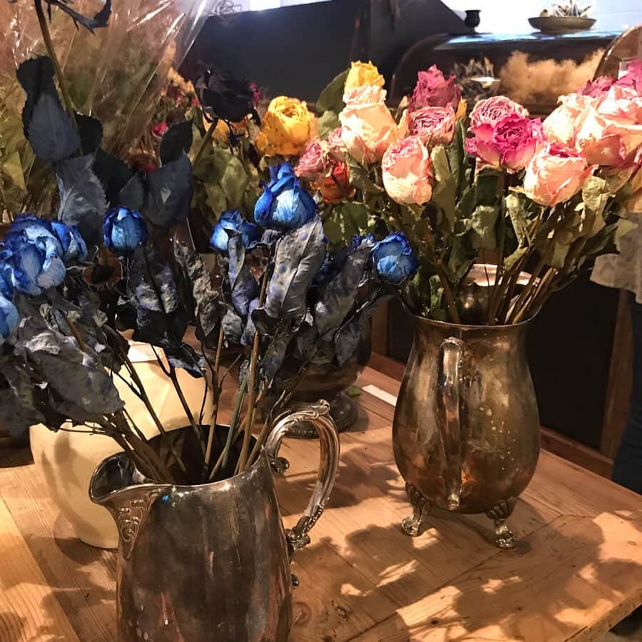 山尾梨奈さんのインスタグラム写真 - (山尾梨奈Instagram)「🥀 お花屋さんの中にカフェがあるのですごく良い香りです 天井に沢山のドライフラワーが吊るされてて ふと考え事をする時に見上げるとハッピーになります #kyoto #京都カフェ #推し京都 #1eretage #ドライフラワー」5月22日 21時42分 - yamarina_1210