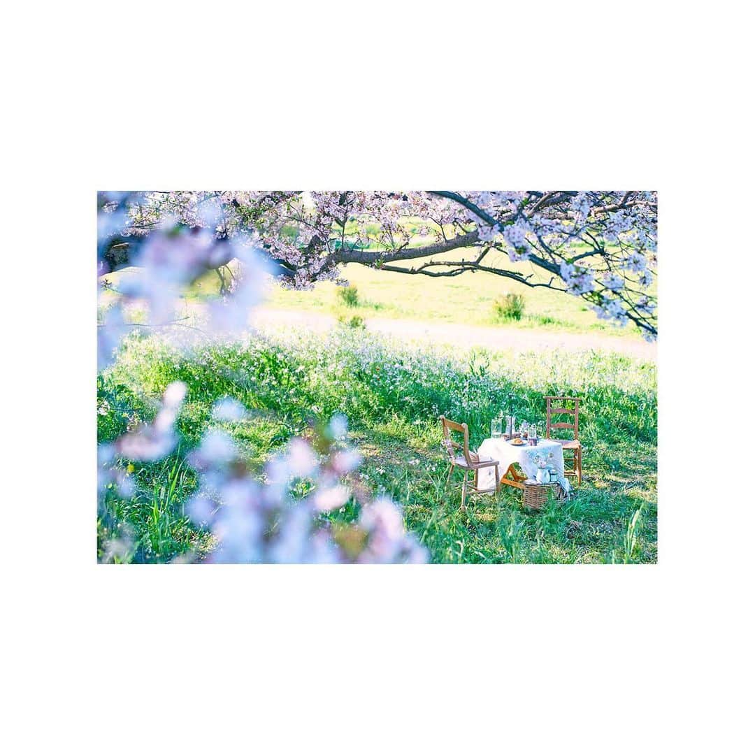 haconiwa / 箱庭のインスタグラム