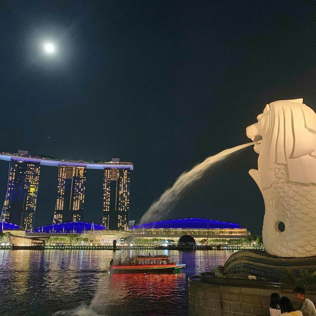 長嶺菜菜子さんのインスタグラム写真 - (長嶺菜菜子Instagram)「✈︎シンガポール観光  1枚目→水浴び﻿ 2枚目→おっぱい 3枚目→頭 4枚目→お尻 ﻿ ﻿ 取り敢えず﻿ マーライオンの水で何かしら洗ってみたよ( '∀︎' )﻿ ﻿ ﻿ そんな﻿ マーライオン﻿ 最近まで工事してて﻿ ﻿ ﻿ 唯一の観光名所見れて﻿ 案外大きくてガッカリしなくて良かった笑﻿ ﻿ ﻿ ﻿ マリーナベイサンズから﻿ マーライオンまでは徒歩で15分くらい﻿ ﻿ ﻿ ﻿ ここのマーライオンパーク﻿ 好きだなぁ﻿ ﻿ ﻿ 海沿いがやっぱり好き﻿ ひらけてて公園があるとこ好き﻿ ﻿ ﻿ オーストラリアのシドニーとか﻿ 日本だと神戸とか横浜とか﻿ ﻿ ﻿ ﻿ ﻿ マーライオンは﻿ 上半身ライオン🦁﻿ 下半身サカナ🐟﻿ ﻿ ﻿ ﻿ #旅行 #旅 #旅女子 #旅行好き ﻿﻿﻿﻿ #夜景 #海沿いの公園﻿ #タビジョ #シンガポール #シンガポール観光﻿﻿﻿ #マリーナベイサンズ﻿﻿ ﻿ #マーライオン #マーライオン公園﻿ #上半身ライオン下半身サカナ﻿ #merlion ﻿ #ボヤジンフォトコン秋2019 #旅なな」5月22日 20時31分 - na7co0422