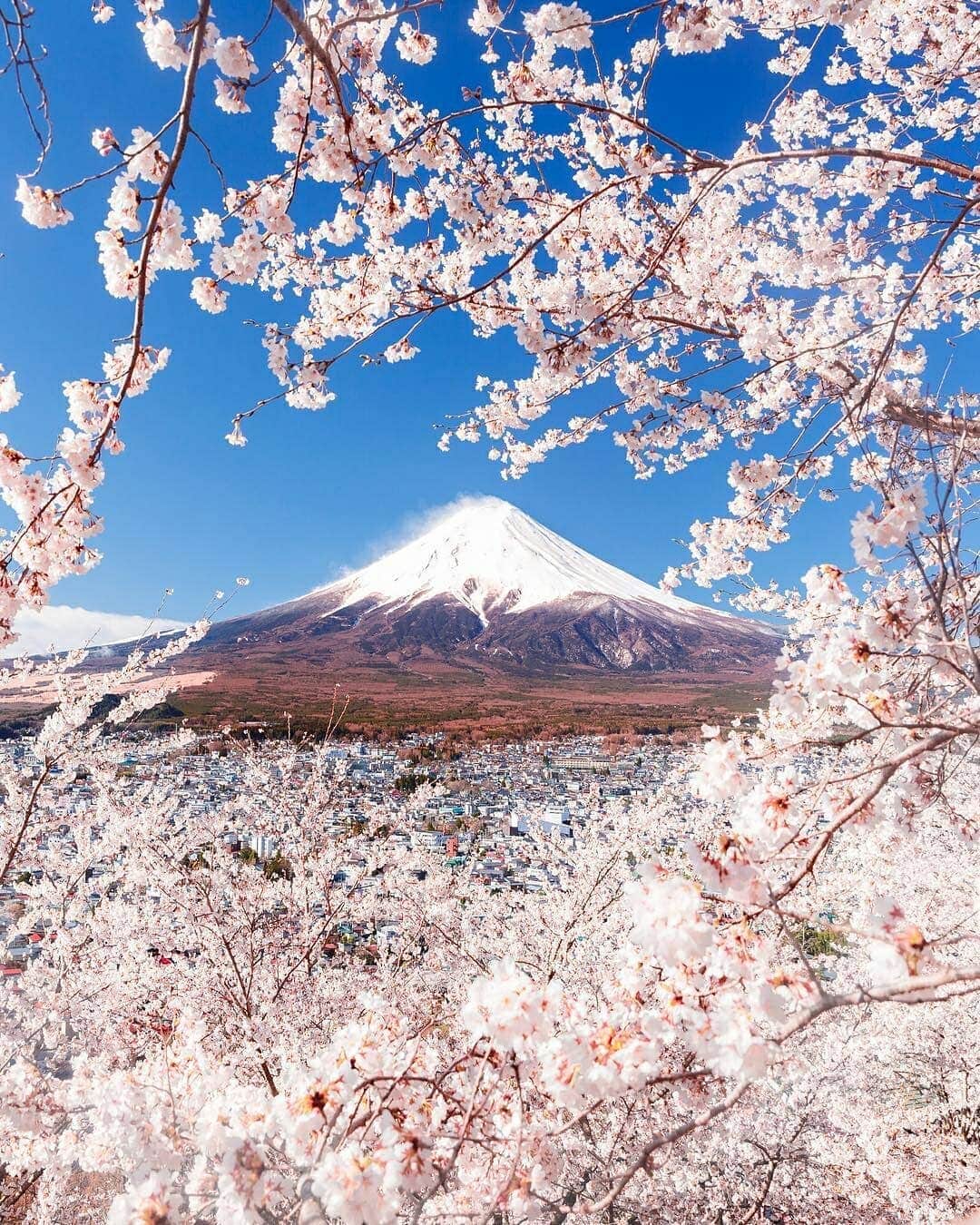 Discover Earthさんのインスタグラム写真 - (Discover EarthInstagram)「Japan is full of so many beautiful landscapes, especially during the cherry blossom season ! 🌸🇯🇵 Is discovering Japan on your bucket list ? Tag your travel buddies ! — 📍#DiscoverJapan — 📸 Photos by @loic.lagarde」5月22日 20時33分 - discoverearth
