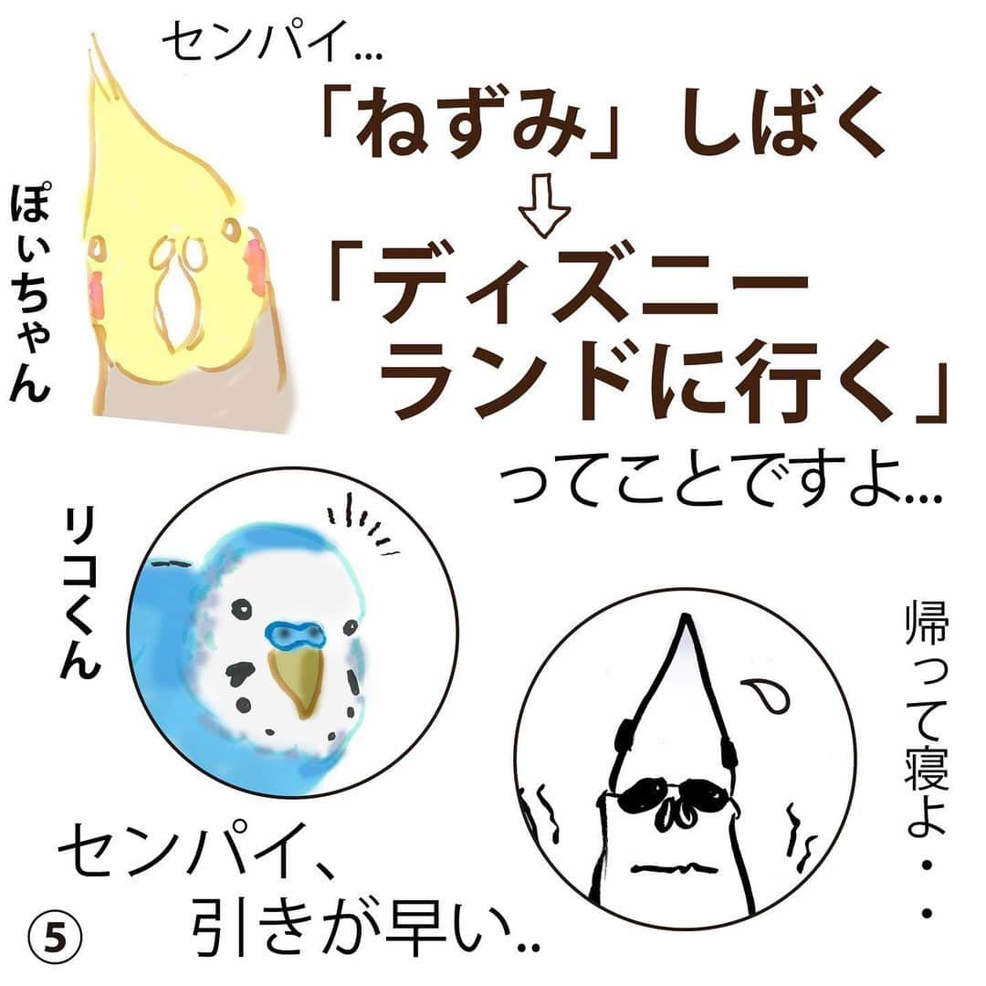 YURAPOi ゆらぽぃさんのインスタグラム写真 - (YURAPOi ゆらぽぃInstagram)「今回のおはなしは、 @purigorota.news さんの、オパーリンブルーの リコリーニ君 と、ルチノーアルビノの 小福ちゃん に登場していただきました！☺️💓 🐥🌟🐦☀️🐤💕 同居鳥のオカメの、小福ちゃんの事が大好きすぎるリコリーニ君、特技は小福たんの視界に入る事なんですね！^_^可愛い❤️ リコ君のストーキングにもいつもにこやかに対応するんですね🌷🕊 小福ちゃんは、臆病だけどとっても心の優しい女の子！  たくさんの依頼ありがとうございます。順番に制作してますので、お楽しみに！」5月22日 20時51分 - ryoichisakai