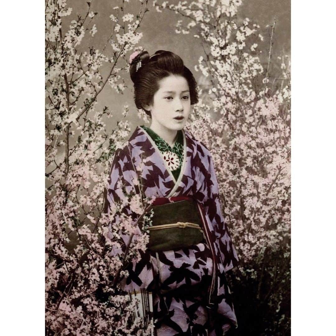 アダムさんのインスタグラム写真 - (アダムInstagram)「⠀ Maiko in the Cherry Blossoms. Ogawa Kazumasa, c. 1890.⠀ #OgawaKazumasa」5月22日 21時30分 - adamlippes