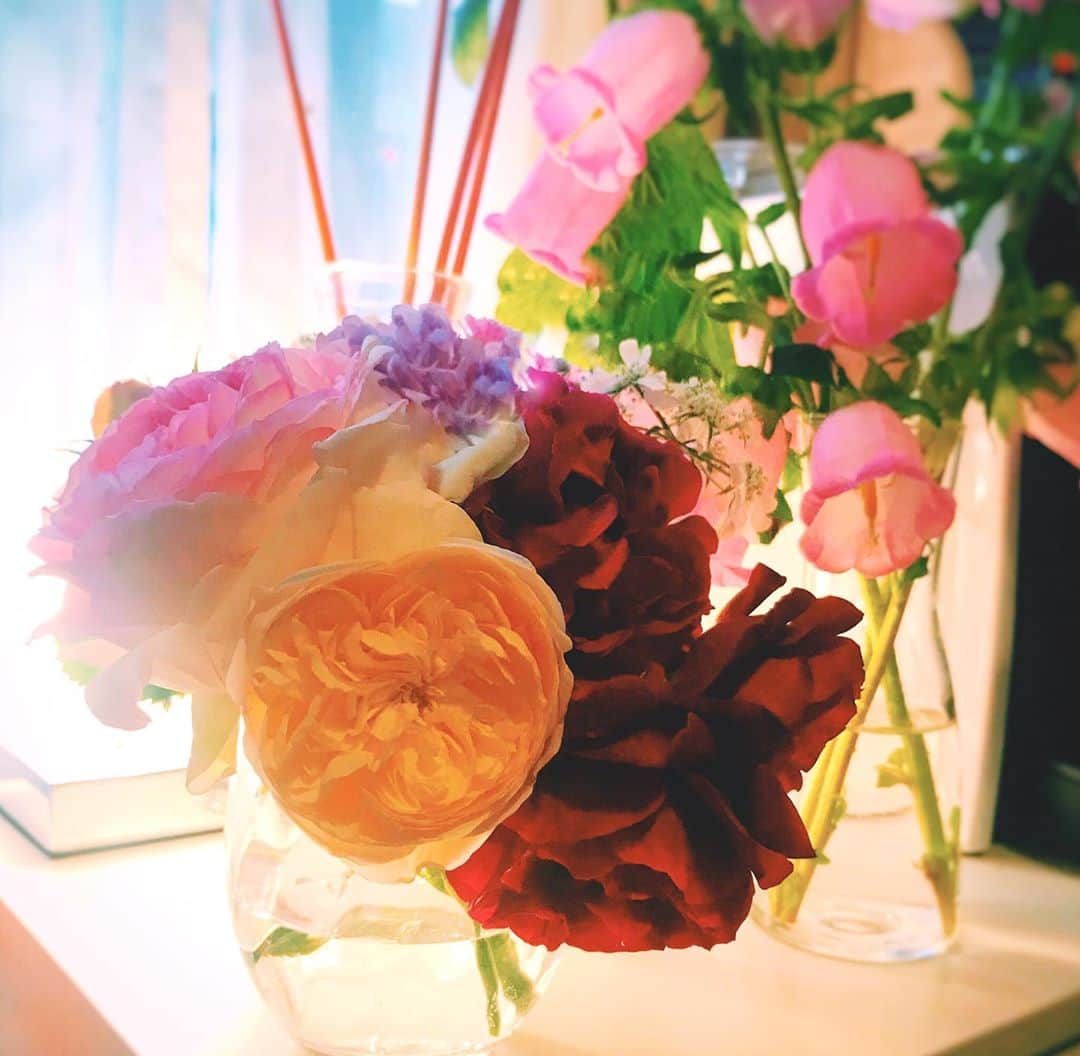 岡本杏理さんのインスタグラム写真 - (岡本杏理Instagram)「お花もらって喜んでます🌹 こちら全部お家で育ててるそうで‼︎ とっても素敵♡」5月22日 21時25分 - anri_okamoto