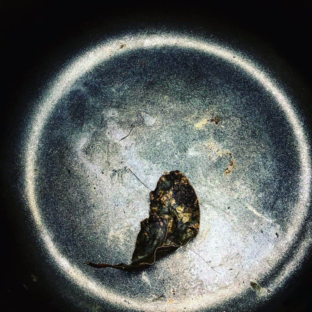 魔女菅原のグルメインスタ