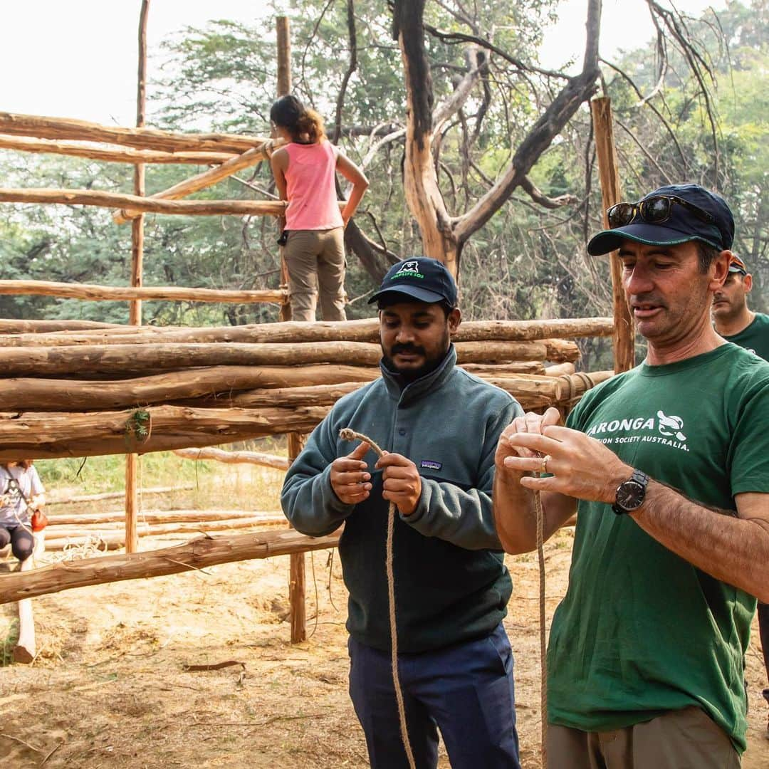 タロンガ動物園さんのインスタグラム写真 - (タロンガ動物園Instagram)「International Day for Biological Diversity – Our Biodiversity, Our Food, Our Health. A message from Taronga Conservation Society CEO, Cameron Kerr. ⠀ ⠀ Today is the International Day for Biological Diversity, and a time to celebrate and reflect on the importance of the single thread that underpins the existence and richness of life on Earth – including human life. This year’s focus is on biological diversity as the foundation for our food and health, and as a key catalyst for transforming food systems and improving human well-being. This reflection comes at a critical time. Earlier this month 150 international experts from 50 countries completed a Global Assessment of Biodiversity,. This assessment makes a compelling case that nature is in trouble, and therefore we are in trouble. The loss of an individual species can alter the performance of an entire ecosystem and the services it provides to our natural resources and agriculture. With around 1 million known plant and animal species threatened with extinction, our consumption choices are now inextricably linked to the future well-being of humanity. ⠀ ⠀ What is Taronga’s role?⠀ Taronga takes a 360 degree approach to conservation – focussing on wildlife, habitats and communities. Our commitment is to prevent the extinction and reverse the decline of a wide range of plants and animals – the herbivores and carnivores, the pollinators and decomposers, the ecosystem engineers and the lungs of life – to secure a shared future for wildlife and people. We do this through our work in the field retaining intact ecosystems and restoring habitat and wildlife, through our breed for release and wildlife rehabilitation programs, as a sentinel for wildlife health and by inspiring people to make choices that will positively influence nature. ⠀ ⠀ What can you do? ⠀ The future of our food and water depends on biodiversity. The choices we make will determine how ‘biodiverse’ our planet is. Eating and purchasing seasonal foods, reducing meat consumption, buying locally and reducing waste can all reduce the impact that our consumption places on nature. ⠀ ⠀ #IBD2019 #BiodiversityDay #BiodiversityIsFood #BiodiversityIsHealth #Ta」5月22日 12時43分 - tarongazoo