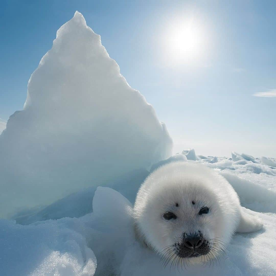 National Geographic Travelのインスタグラム