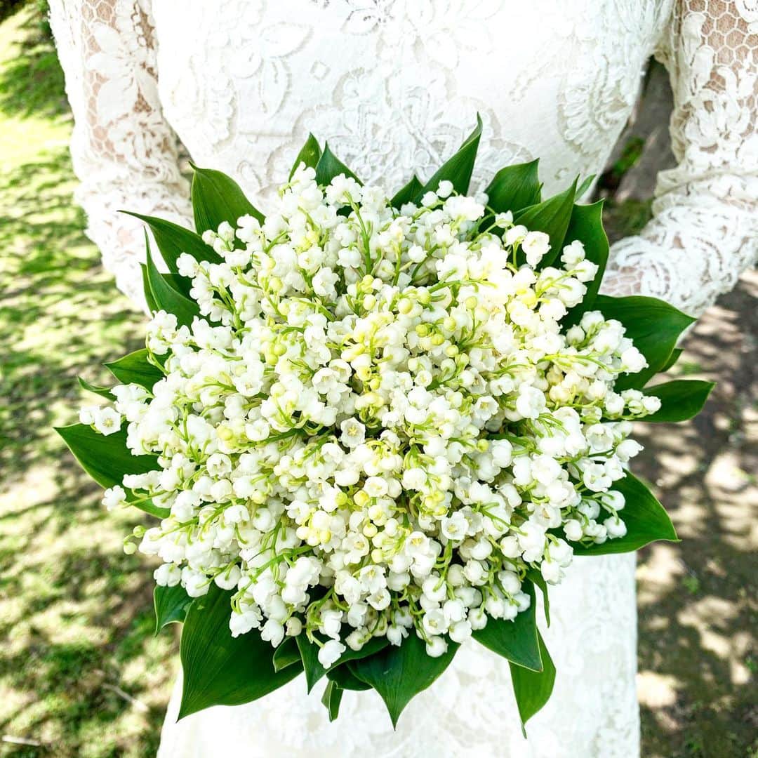 山城葉子のグルメインスタ