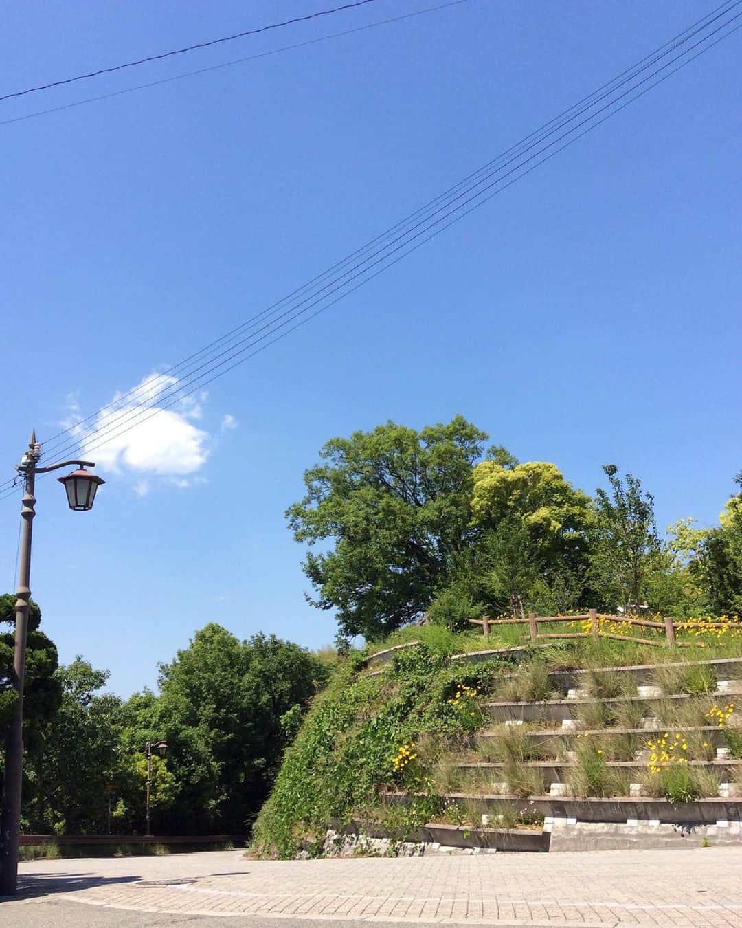 祥吉のグルメインスタ