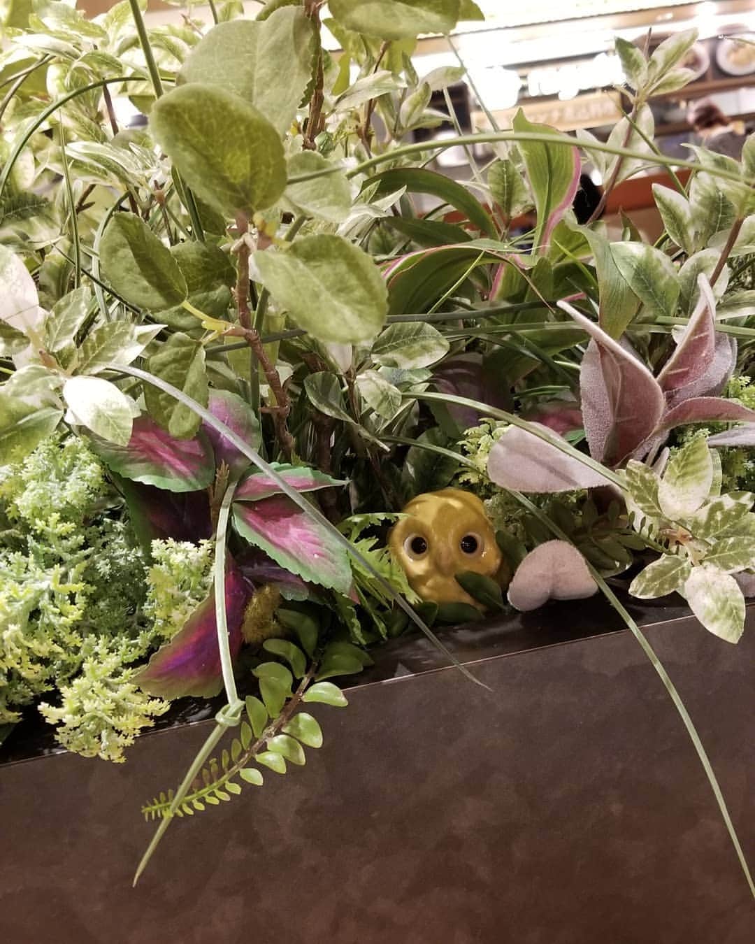 慶元まさ美のグルメインスタ