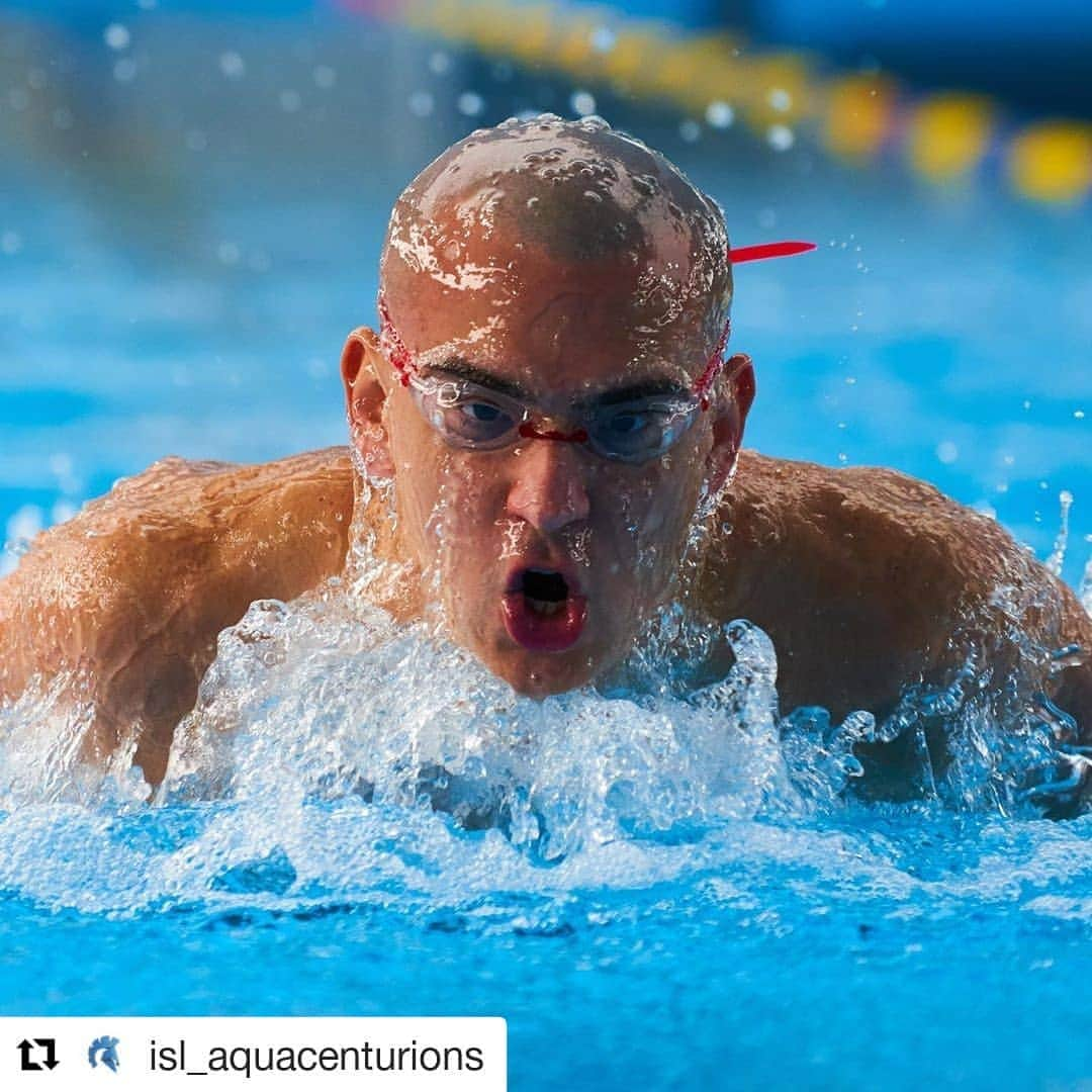 ラースロー・シェーのインスタグラム：「#Repost @isl_aquacenturions (@get_repost) ・・・ Four time Olympian, 🏆six Olympic medals, 🥇🥈🥉multiple World and European Champion, a legend of the swimming world, the great Laszlo Cseh @csehlaszlo 🇭🇺 joins Aqua Centurions! Welcome on board!!! 🤙🏻💪🏻🤙🏻💪🏻🤙🏻💪🏻🤙🏻 • • • • • • • •  #swimmimg #swim #swimmers #swimmer #sports #watersport #isl #internationalswimmingleague #worldbest #readytofight #champion #champions #medal #medals #pool #water #blue #chlorine #freestyle  #backstroke #breaststroke」