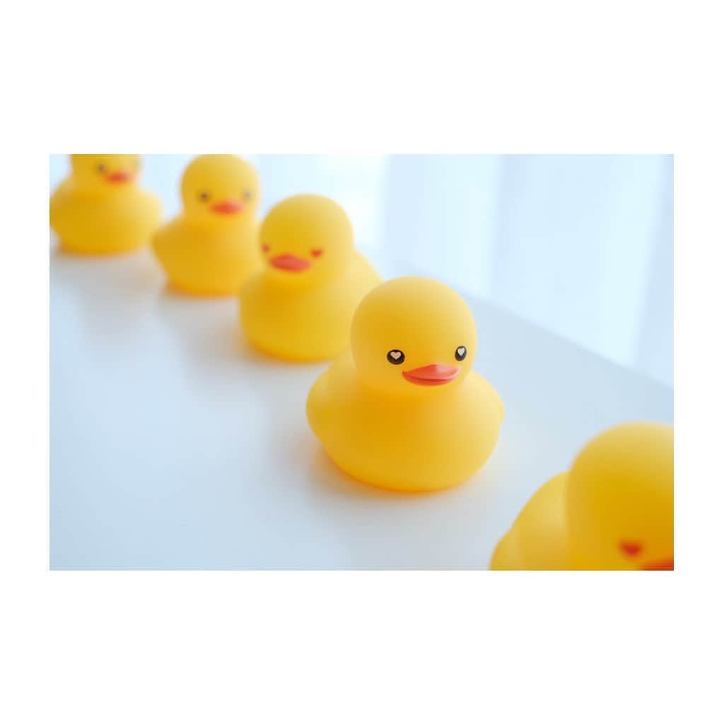 紗々さんのインスタグラム写真 - (紗々Instagram)「🐥🛁✨ * #あひる #お風呂 #ハイライトもハート #ラブラブダック #loveloveduck #ducks #bathtoys #toys #heart #kawaii #instagram #photography」5月22日 13時49分 - 03sasa03
